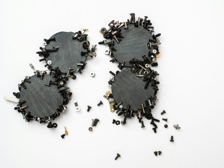 black and white star fish; lead magnets
