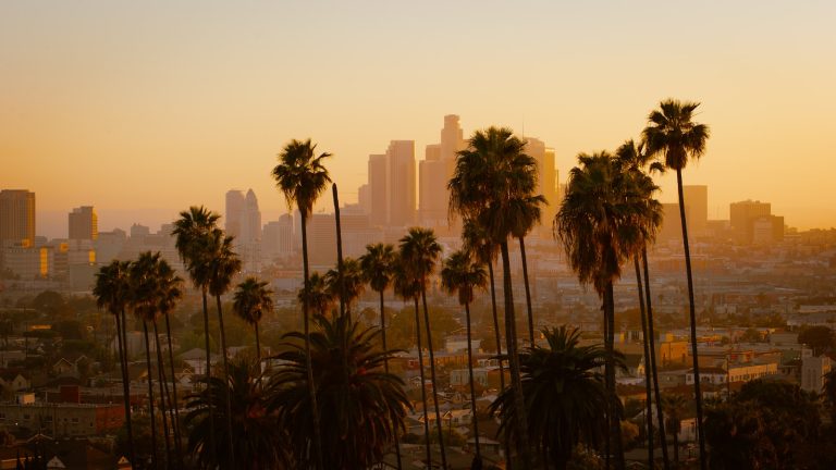 green palm tree and city view, Los Angeles small business marketing